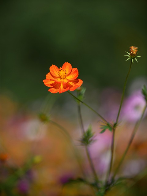 Jasmin Lopez tweet media