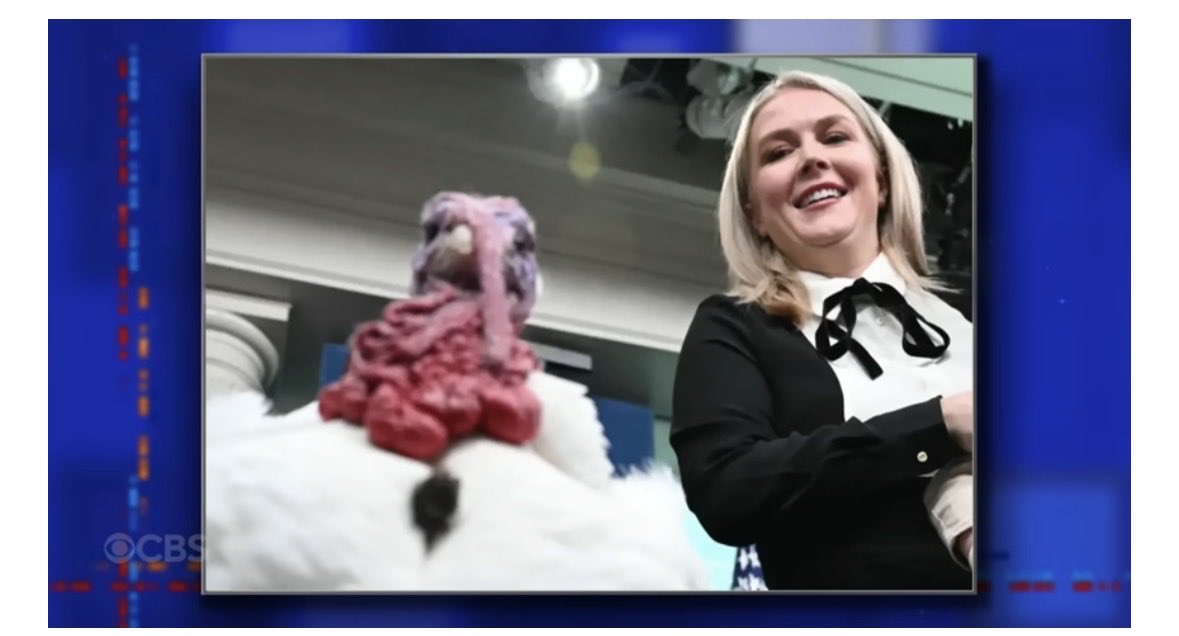 Moosenstein's tweet photo. One ugly turkey....and a bird's with her too. @PressSec https://t.co/VnoGVHOKLv