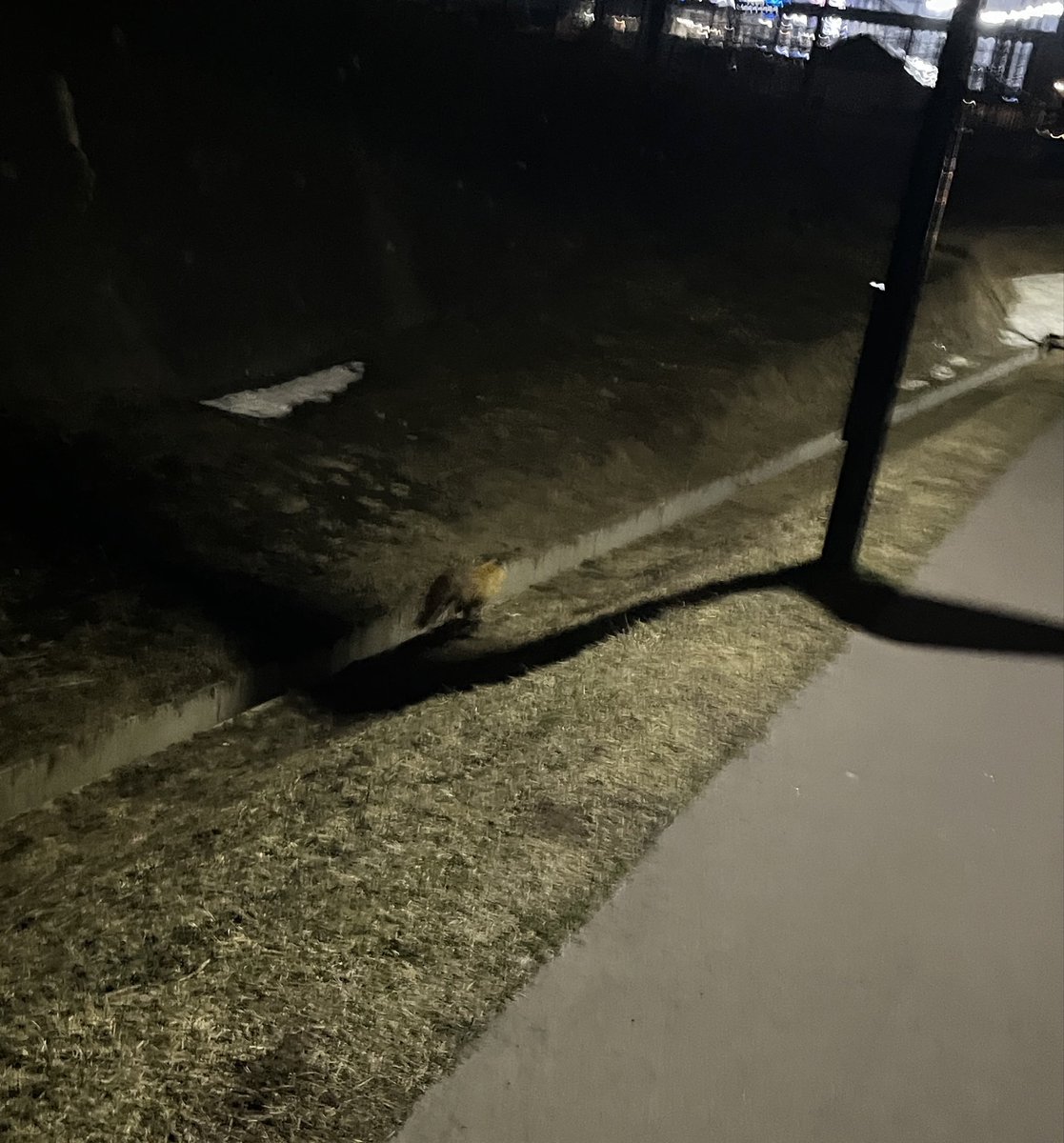 𓊆映造 𓊇 tweet media