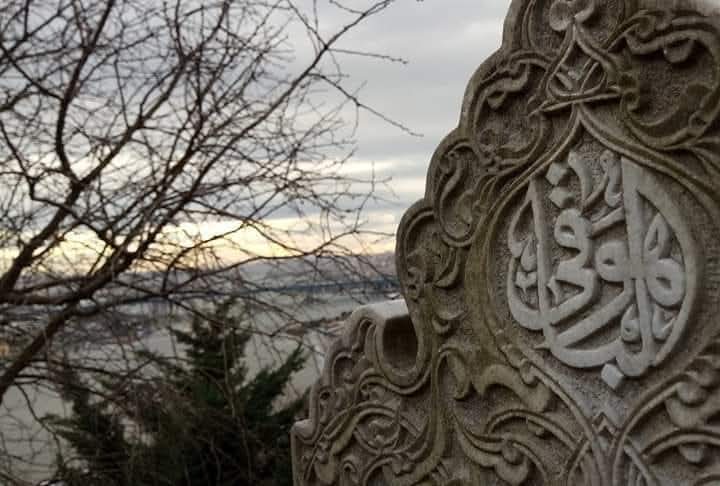 Nidayi Sevim tweet media