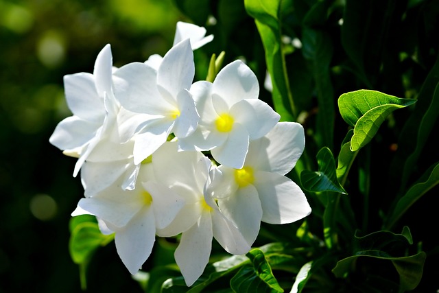 Matthew Camphire tweet media