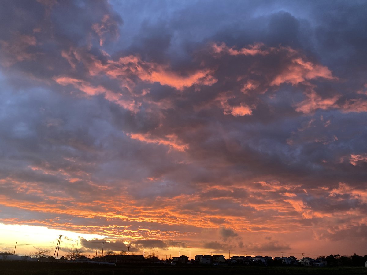 オレンジ🍊37 tweet media