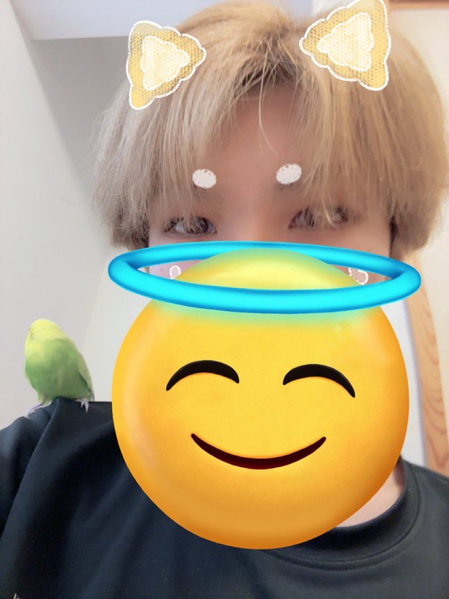 おんぷ tweet media