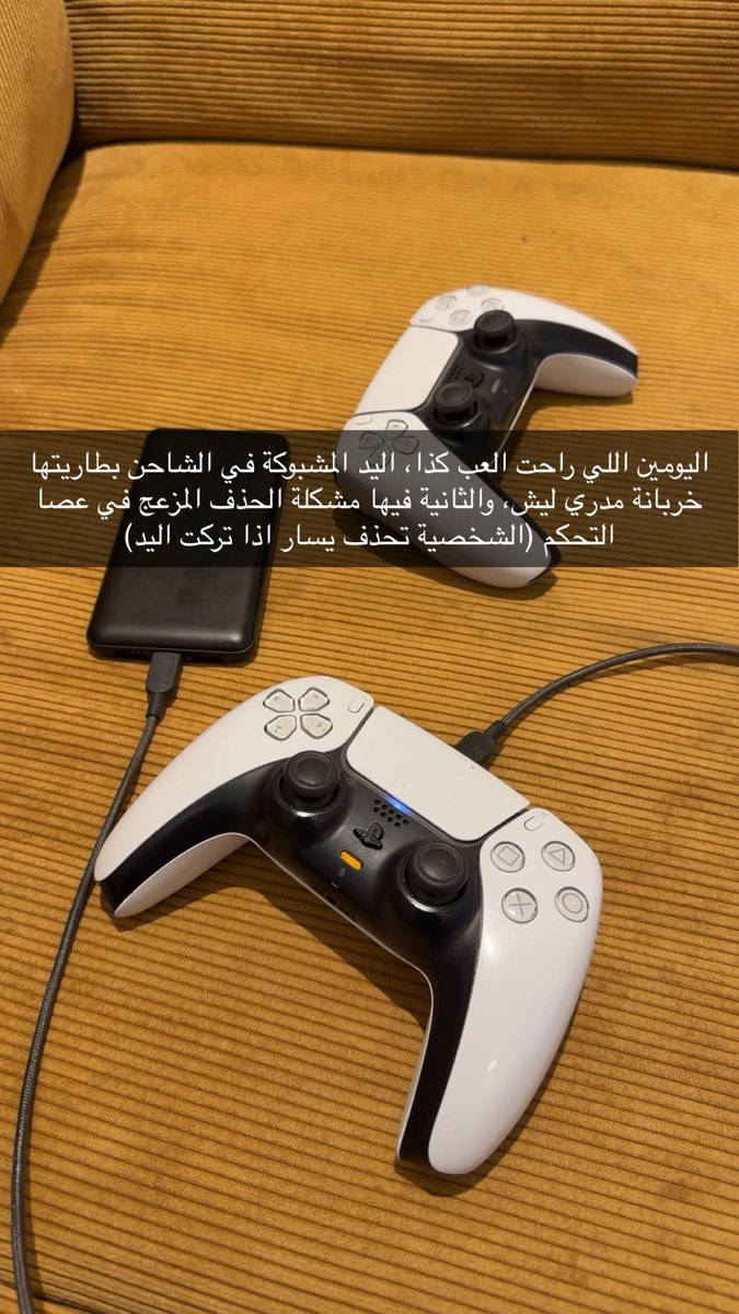 محمد محمود الشريف tweet media