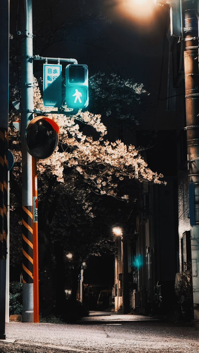 大島健 / Ken Oshima tweet media