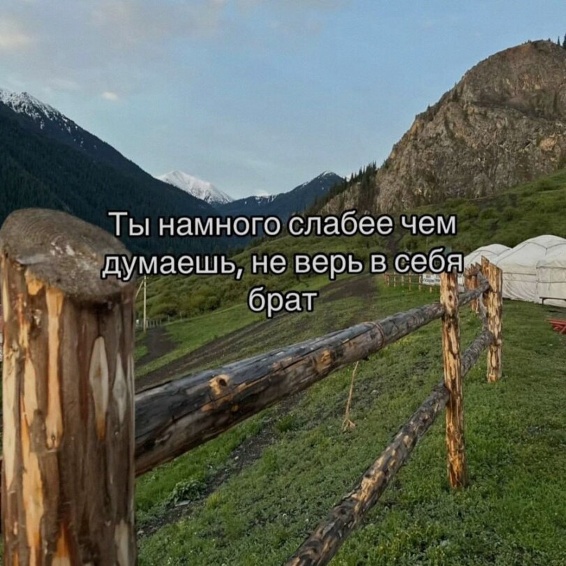 Weaponised Autism tweet media