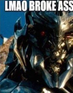 maria 🐾 tweet media