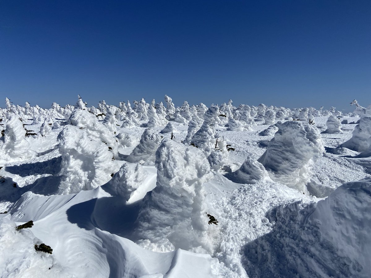 0310Mikan's tweet photo. #私の今年の雪山ベストショット https://t.co/p7xk5m3ySr