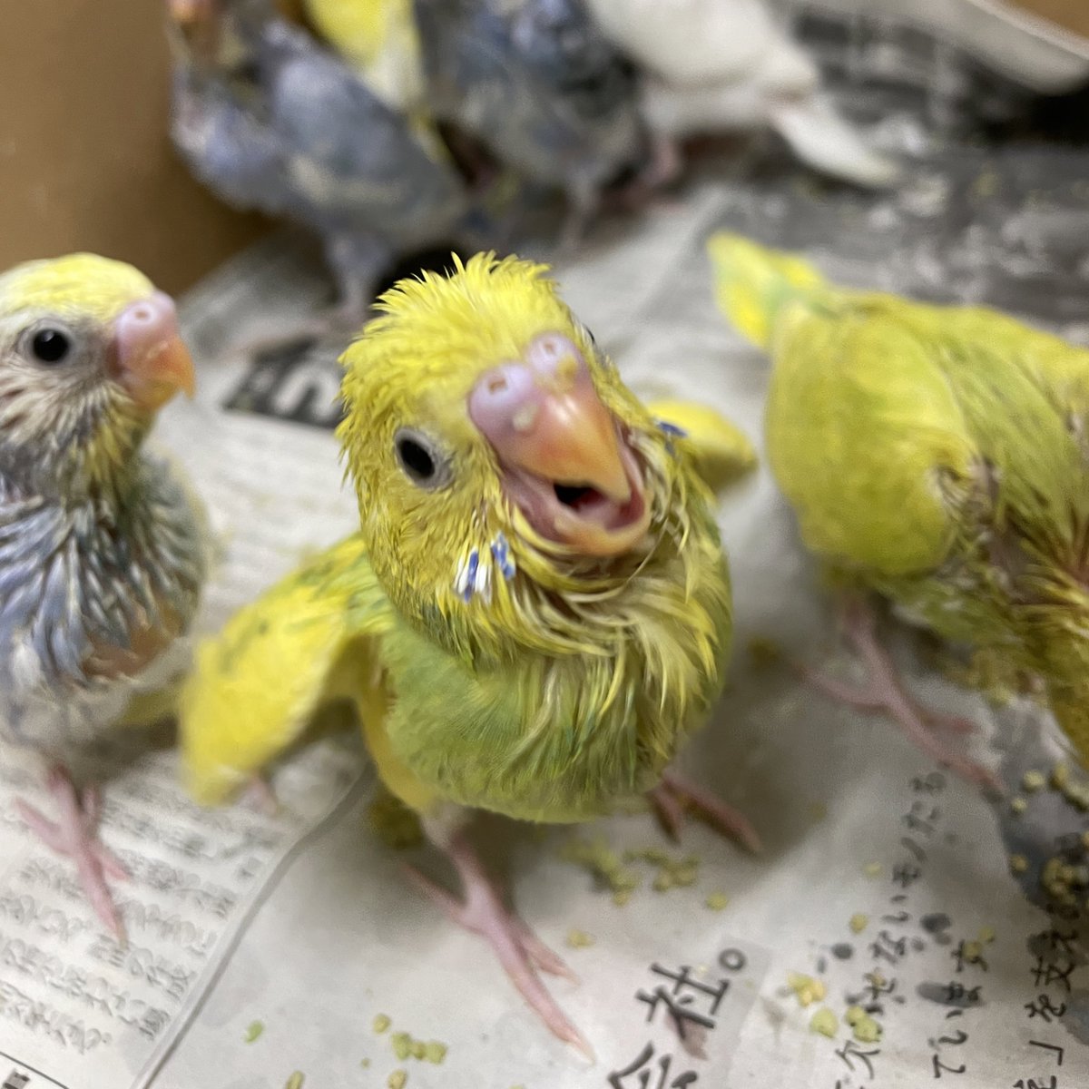 この画角、完璧！お弁当もついててサイコー😆