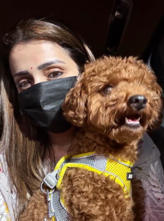 ChennaiTimesTOI's tweet image. Actress #Trisha and her pet #Izzy are making memories at the temple! 🐾✨

#FurryFriends #PetAdventures