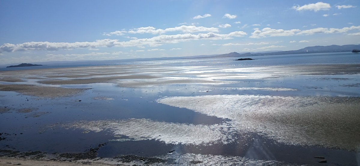 Andrew Linlathen tweet media