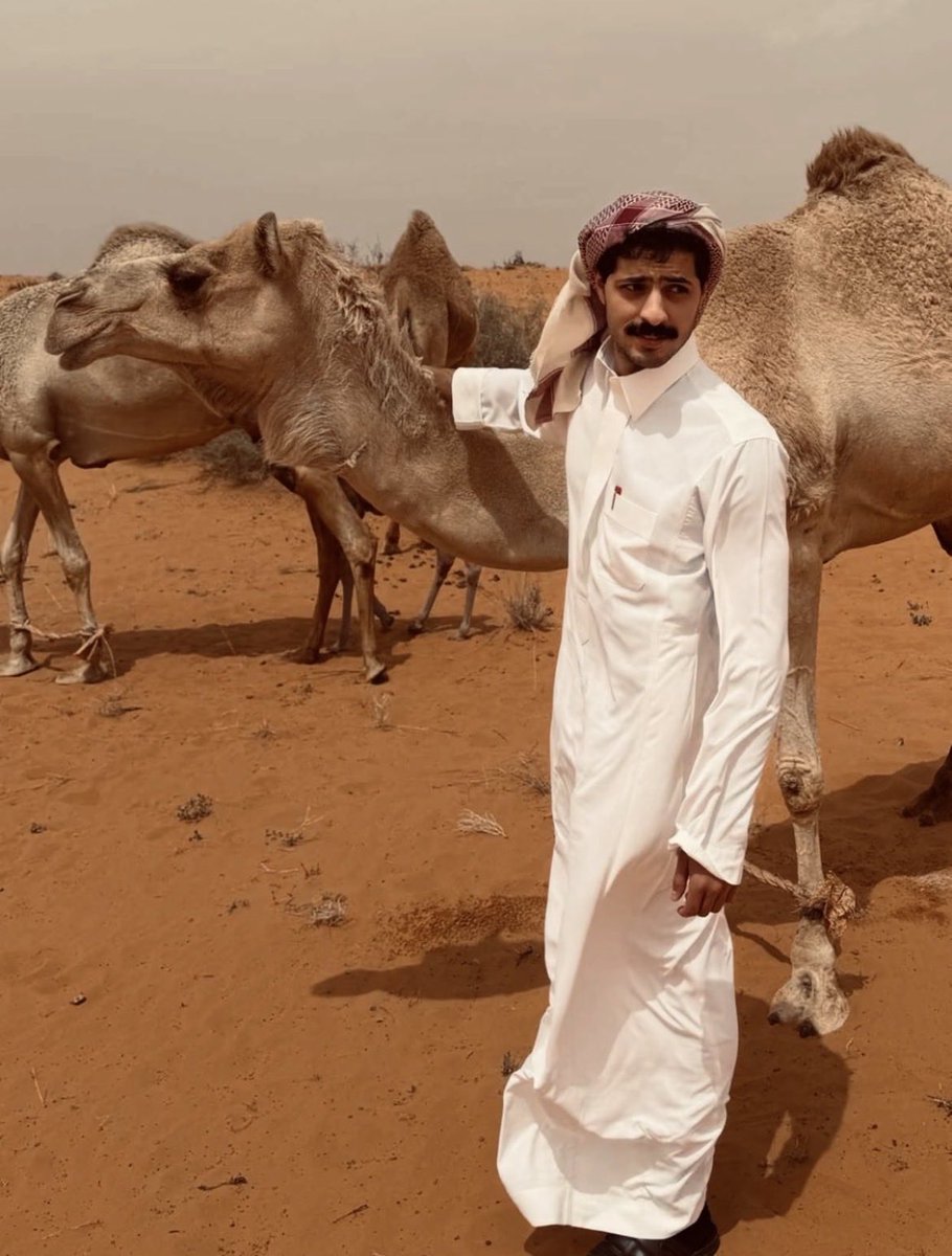 سـَـاره tweet media