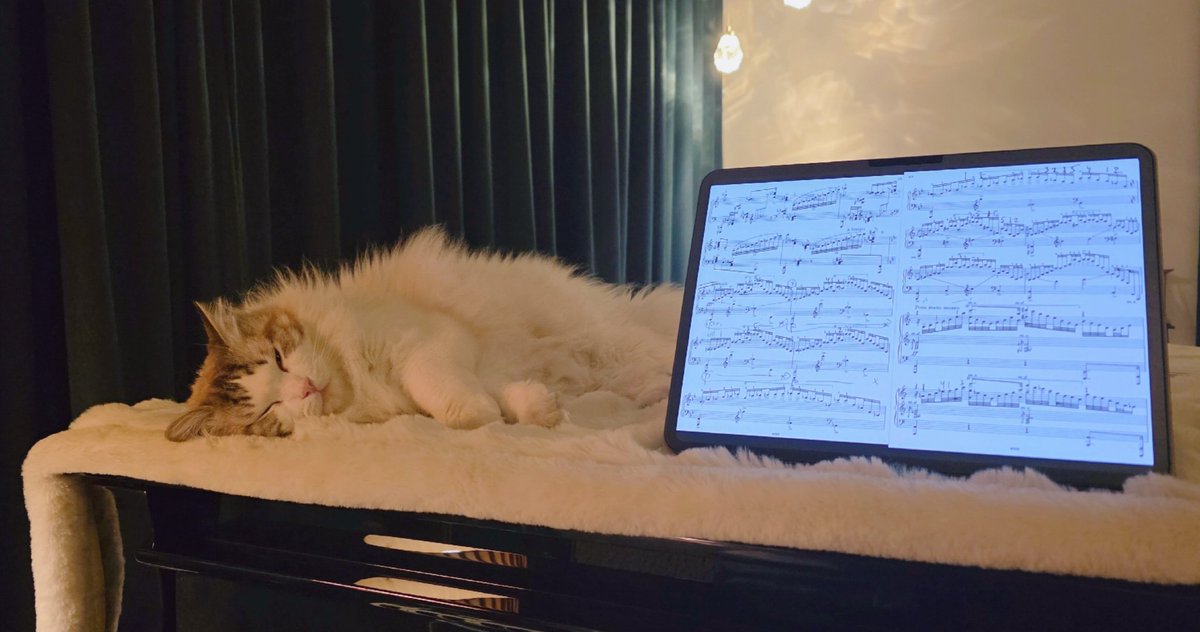 𝐀𝐩𝐩𝐥𝐢𝐮𝐡(애피유) tweet media