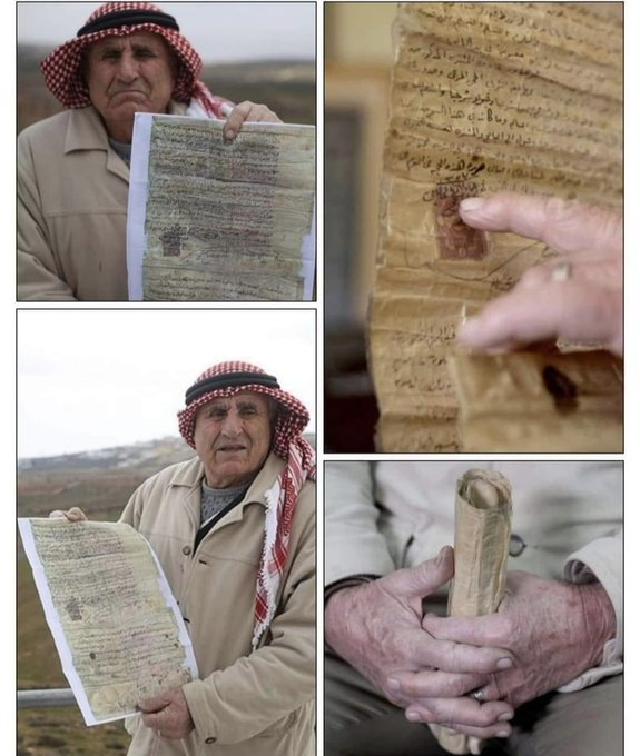 Adi el Grande tweet media