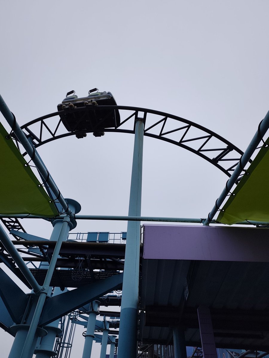 Stampida 305 tweet media