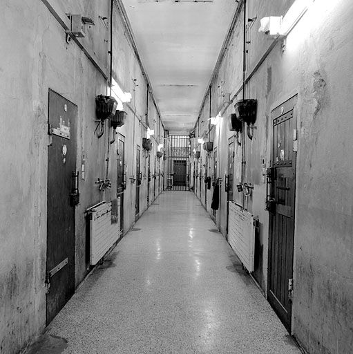 LyonStrates tweet media