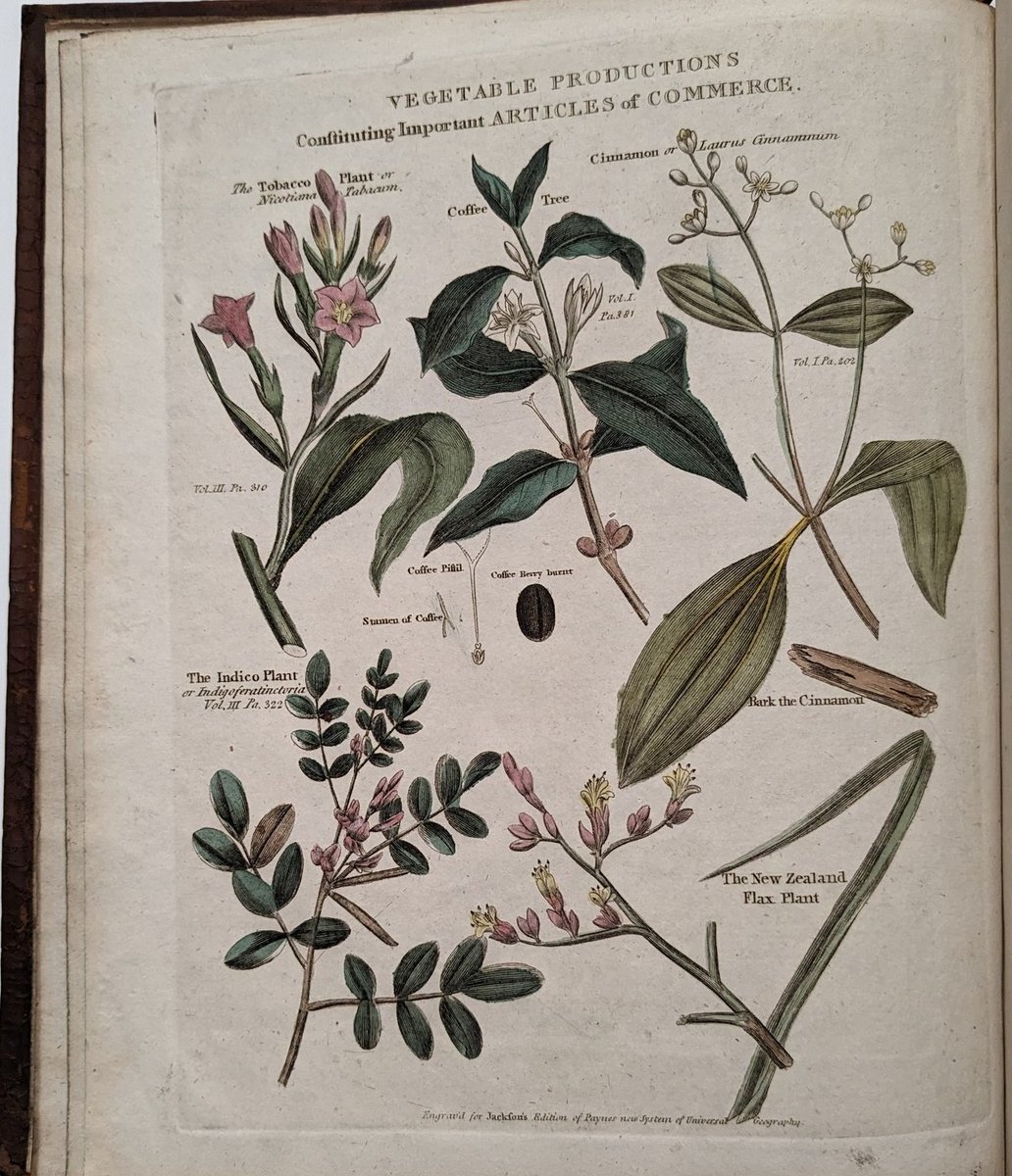 Marsh's Library tweet media