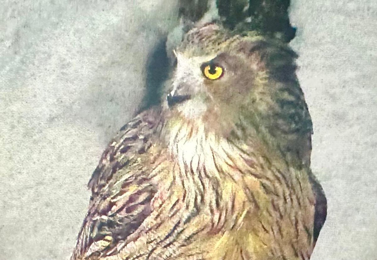 Esteban Piedrahita 🇺🇦 tweet media