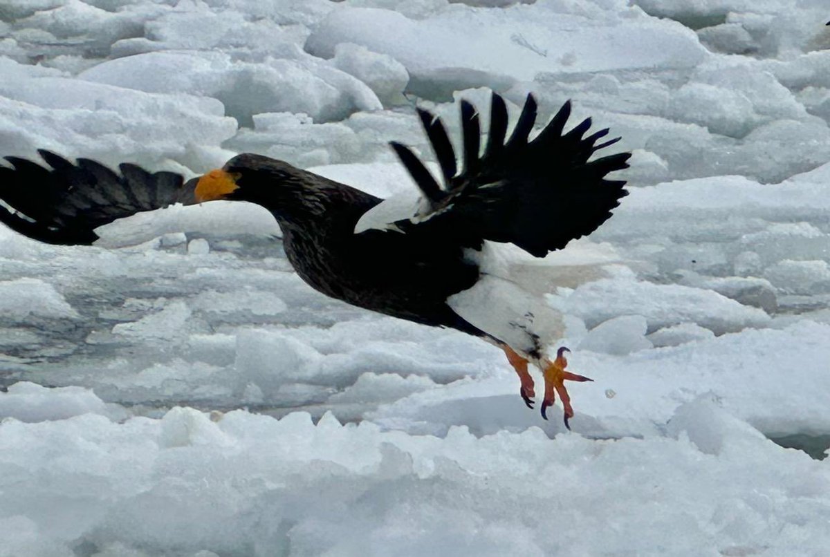 Esteban Piedrahita 🇺🇦 tweet media