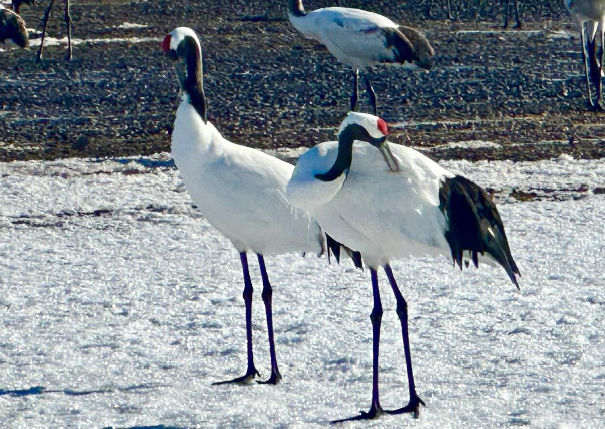 Esteban Piedrahita 🇺🇦 tweet media