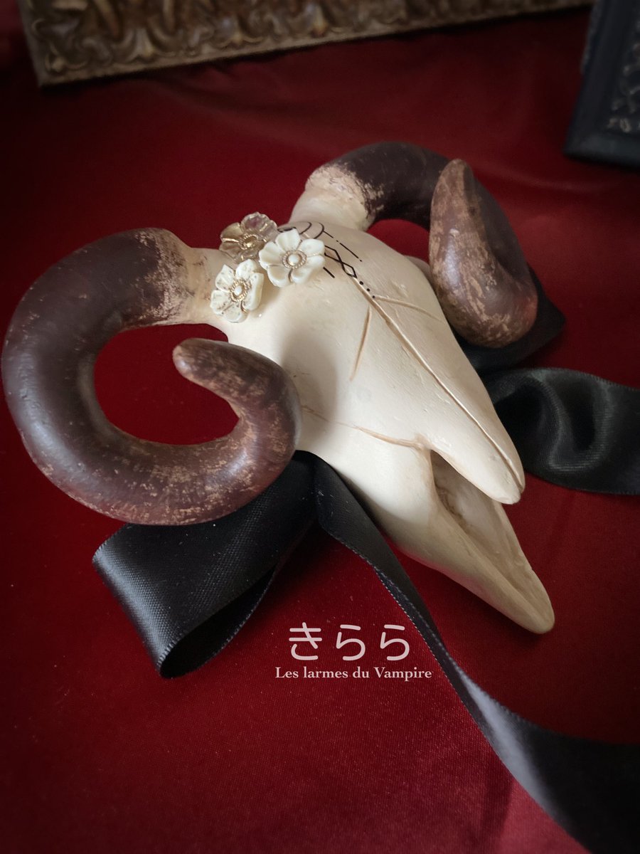 きらら𝑛𝑜𝑟𝑖𝑘𝑜 🎪 迷子のためのN⃰i⃰g⃰h⃰t⃰ C⃰i⃰r⃰c⃰u⃰s⃰ tweet media