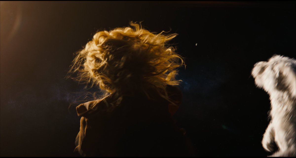 When Batmen Fly tweet media