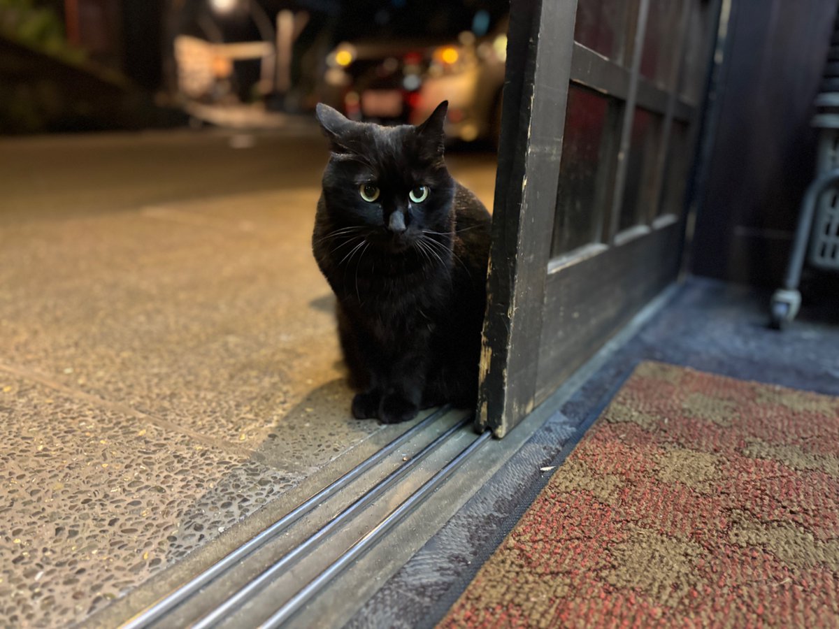 野村亮太(やまだのむら/room42) tweet media