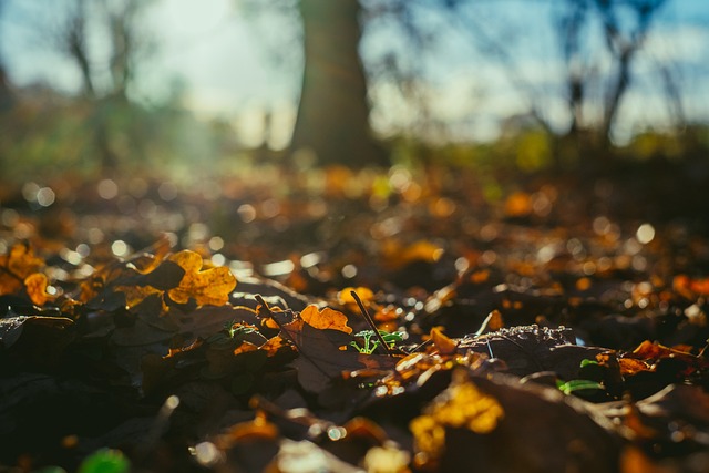 Juan Mohammed tweet media