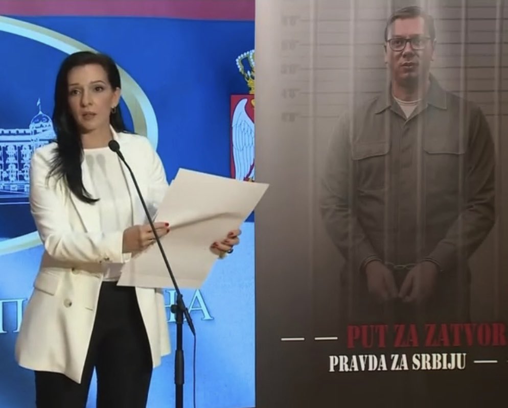 Marinika Tepić tweet media