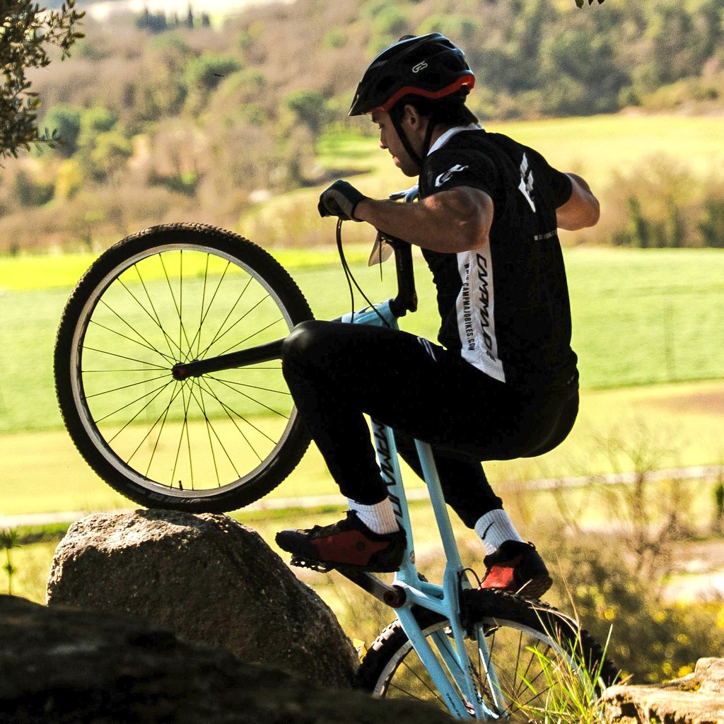 CopaOsona tweet media