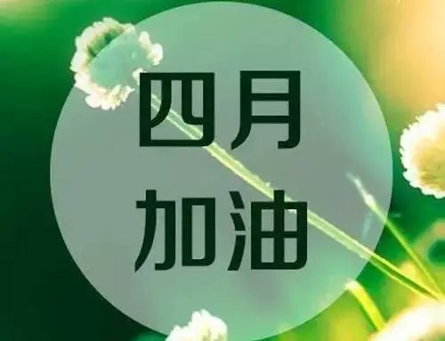 InPingyi's tweet photo. 第一季度结束了，继续加油 https://t.co/5zzmgmMFx1