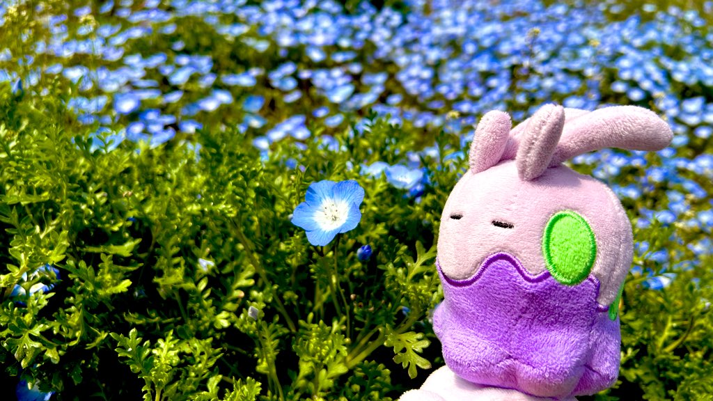 らぷお tweet media