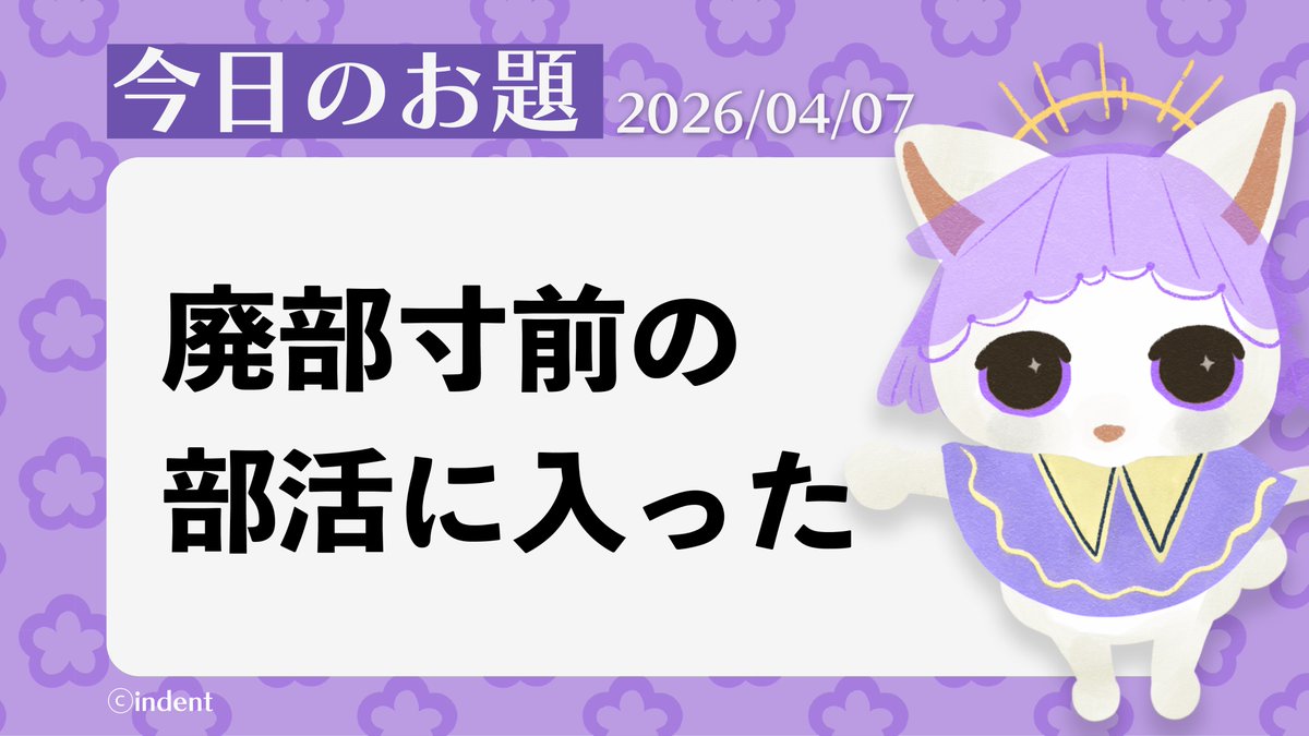 ギーク猫＠Nola tweet media