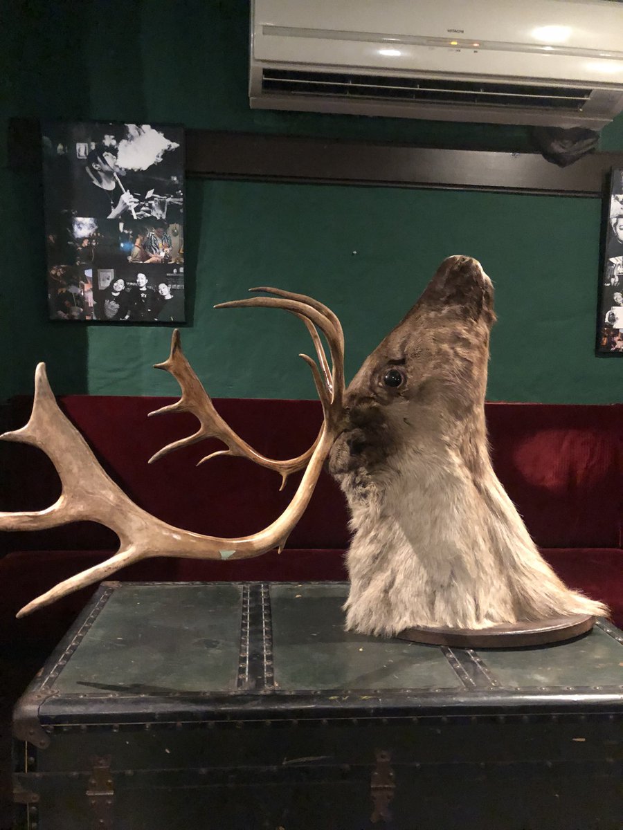 Shisha SIXTAシクスタ歌舞伎町店 tweet media