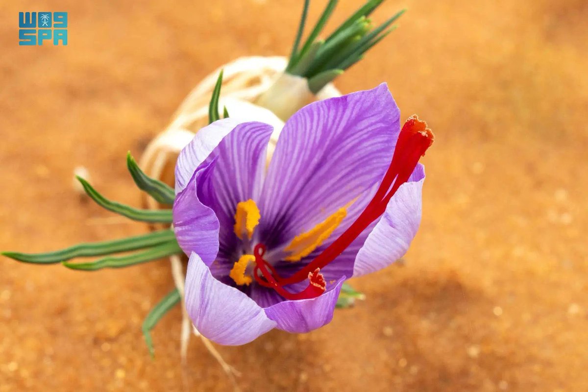 ملتقى علوم الاحياء tweet media