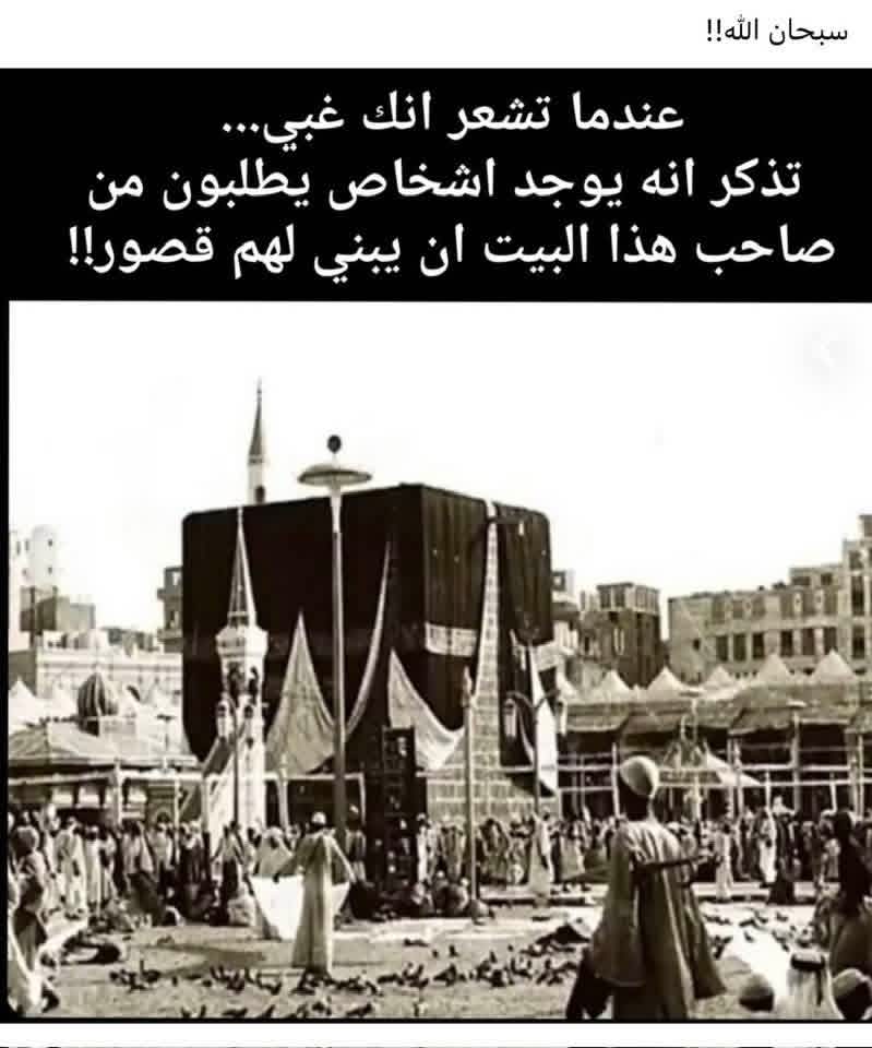 عقل مثقف tweet media