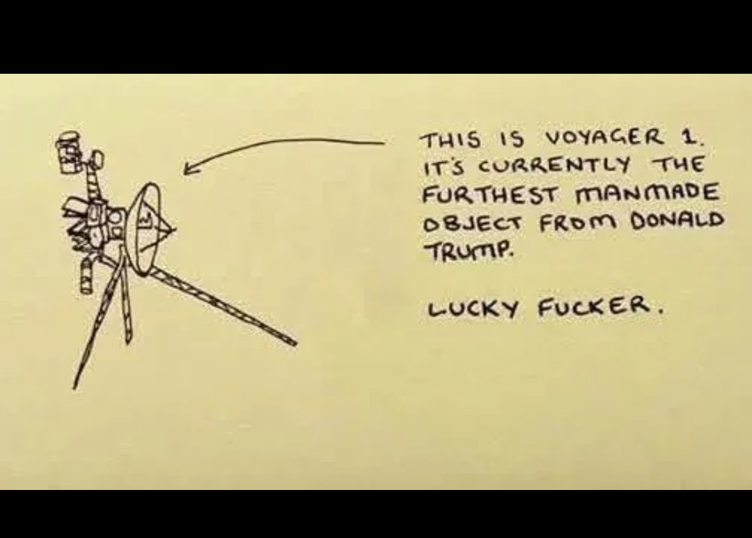 What Fresh Hell Is This? 💙💀💙💀 tweet media