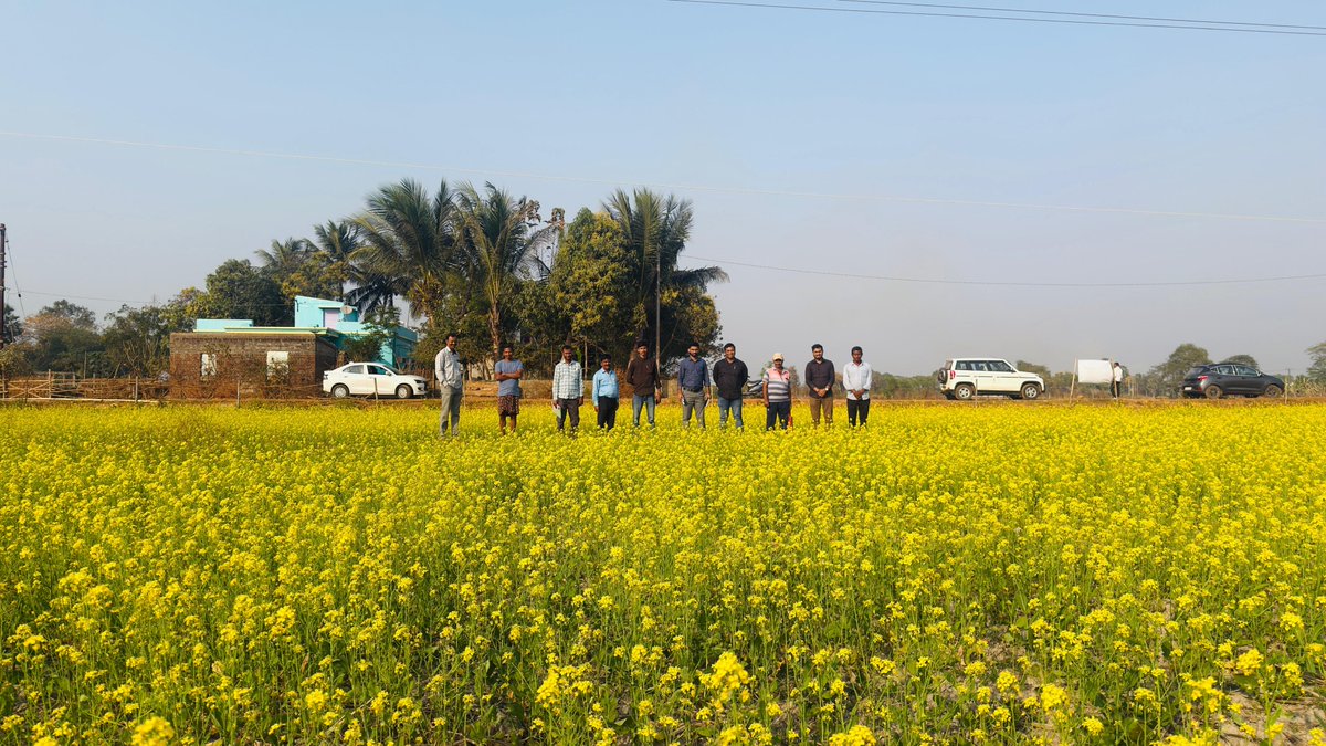 CHIEF DISTRICT AGRICULTURE OFFICER,BHADRAK tweet media