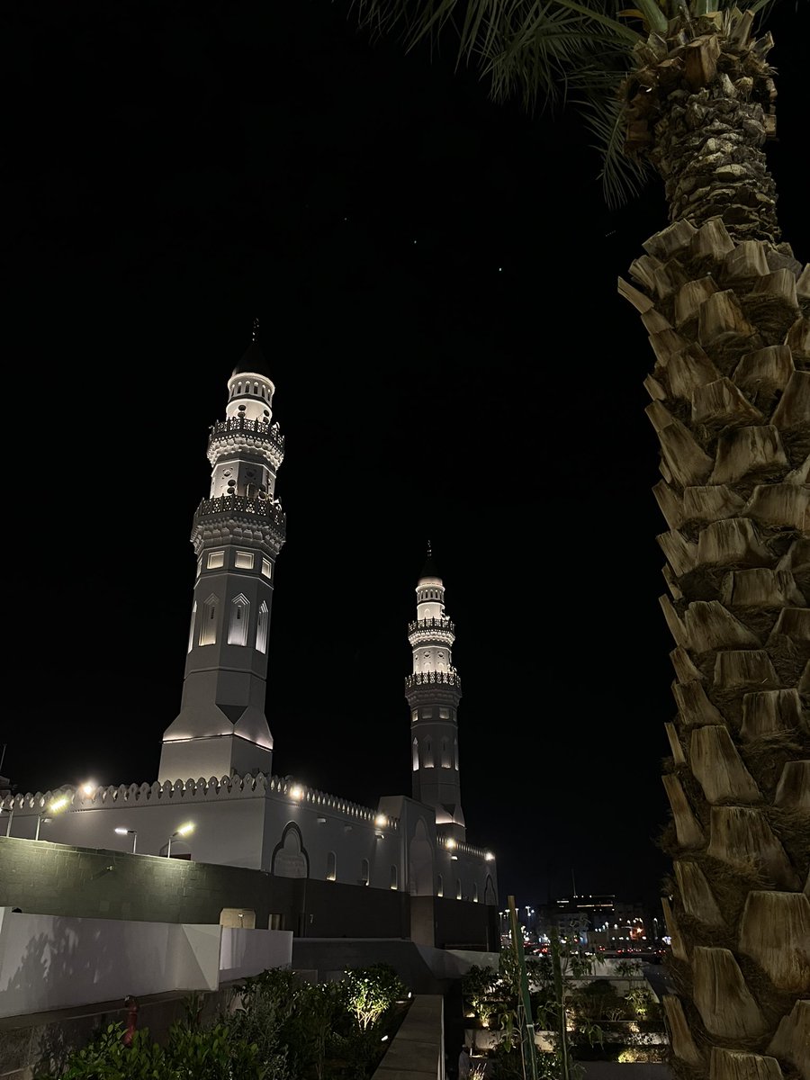 🇲🇦 tweet media