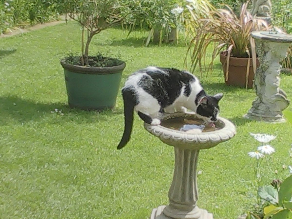 Phil's Plot tweet media