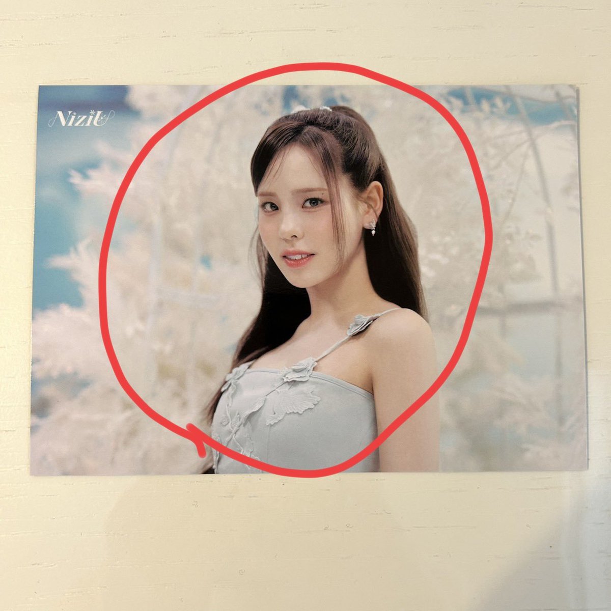 まこっちゃん🐿️🦁 tweet media