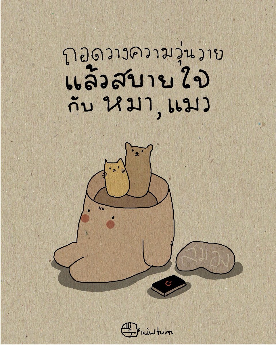 คิ้วต่ำ tweet media