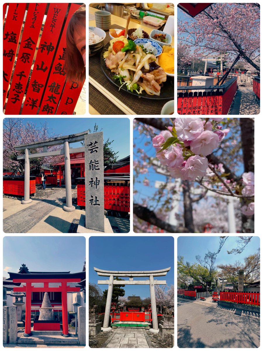 金原千恵子 tweet media