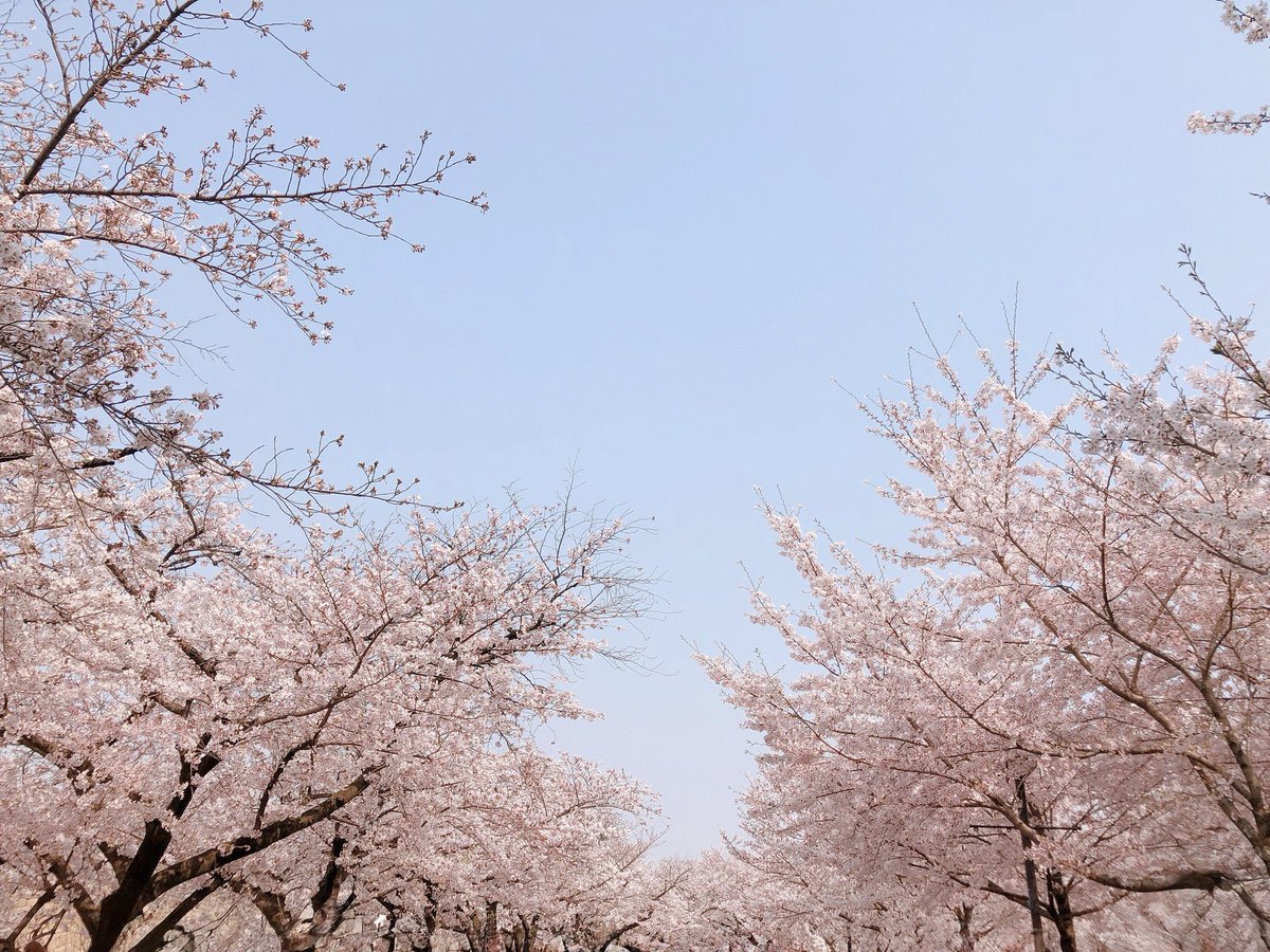 さぶまーち tweet media