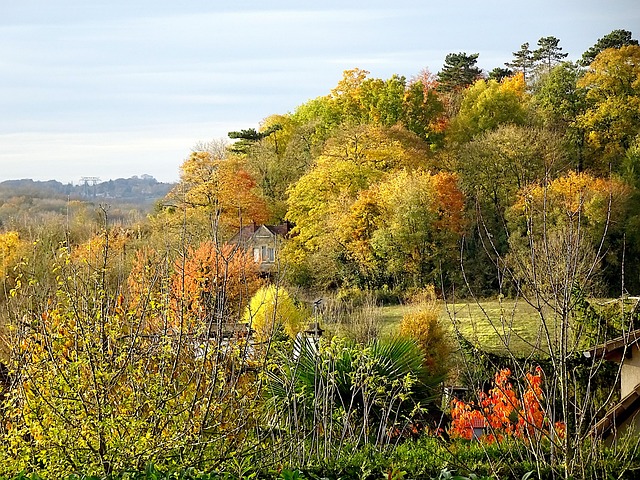 Sarah Daughtry tweet media