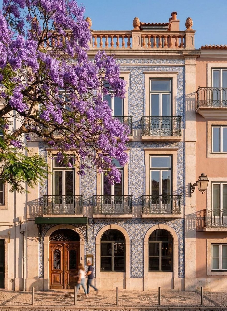 Ramin Nasibov tweet media