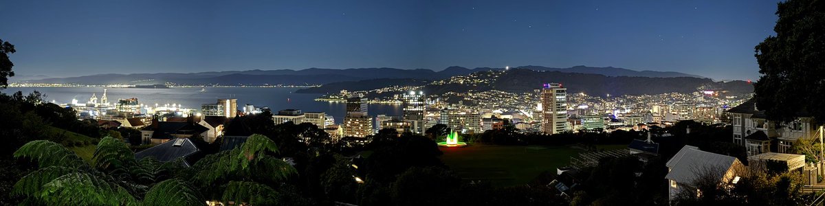 Wellington by night