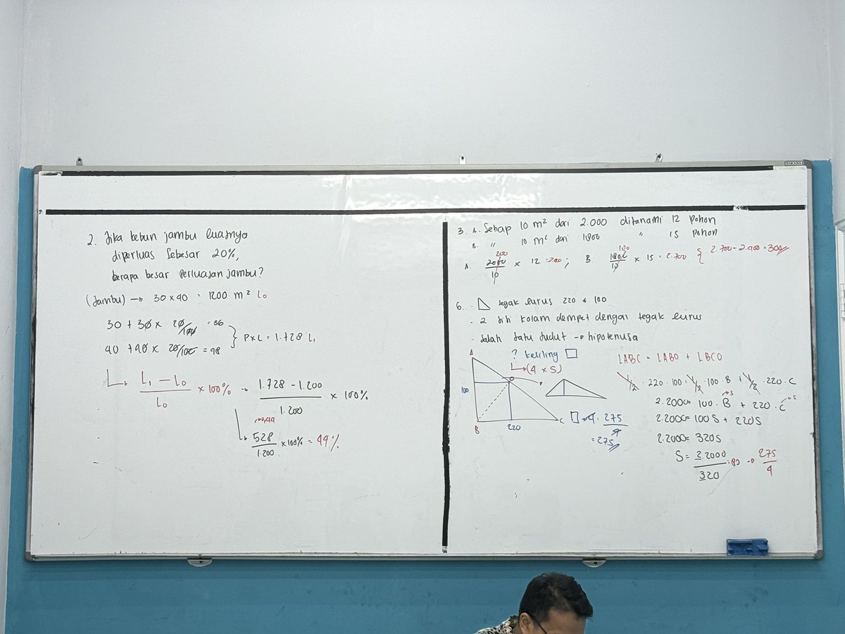 Lin ✳️ tweet media