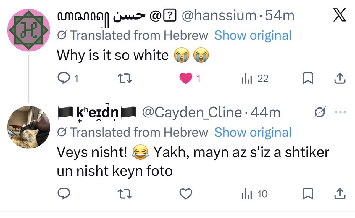 🏴k̟ʰeɪ̯d̚n̩🏴 tweet media