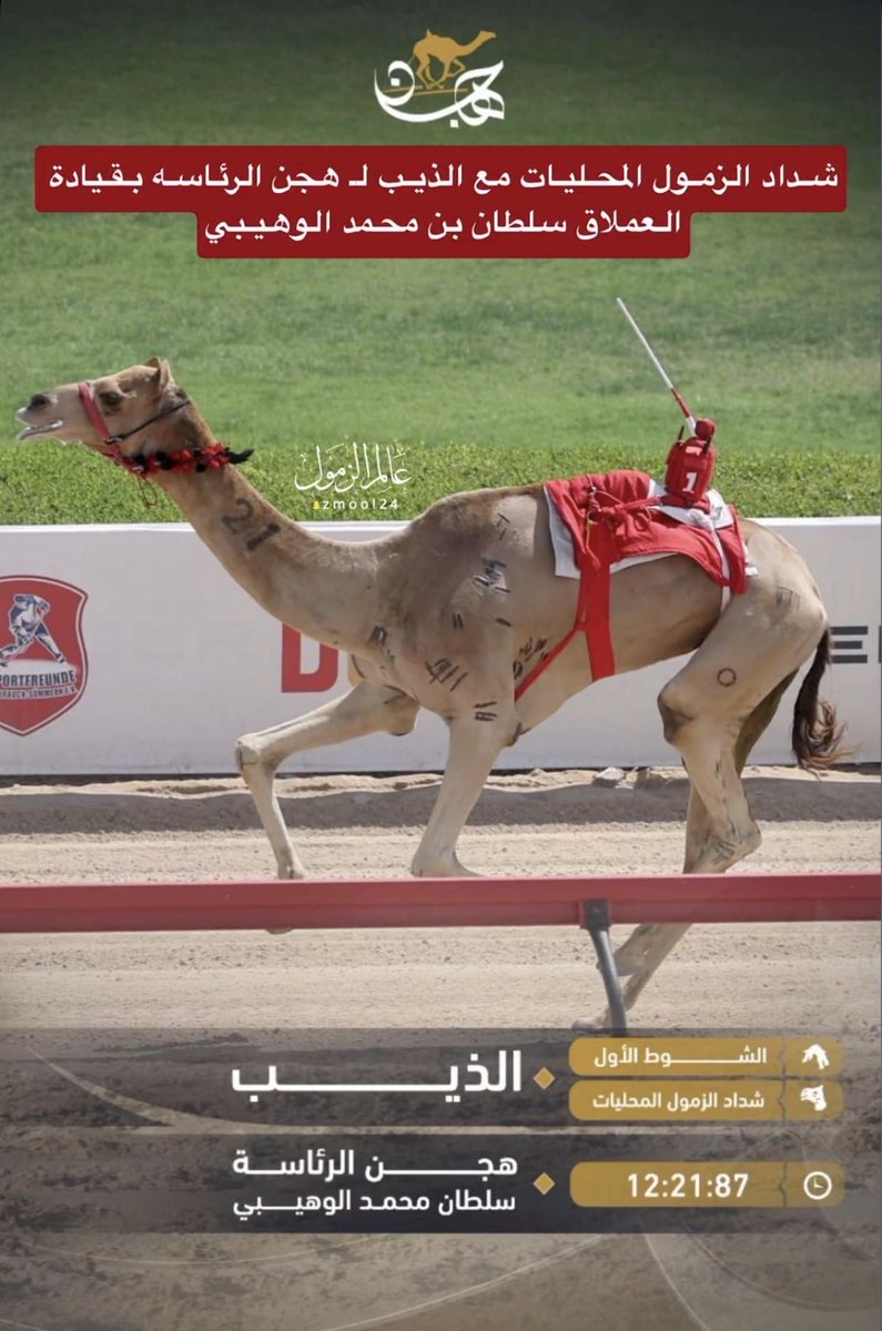 بدر آبن دخيل الهاجري tweet media